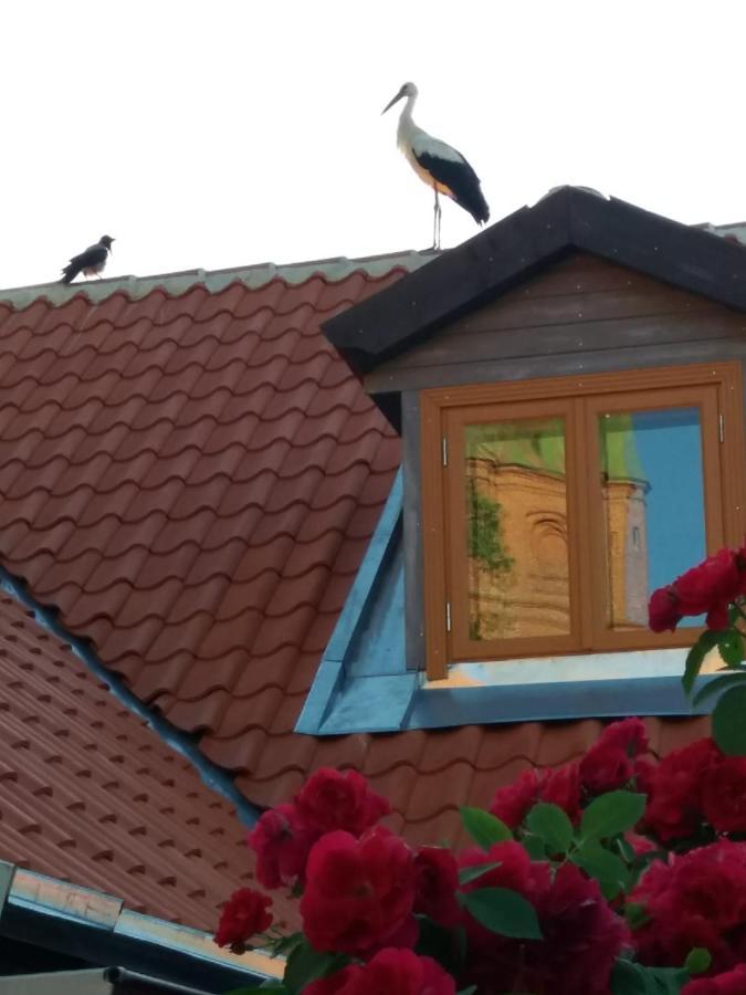 Lauma Appartement Kuldīga Buitenkant foto